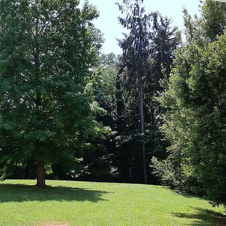 Appartement Au Calme Proximite Centre 巴约讷 外观 照片